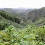 We’ve travelled back in time